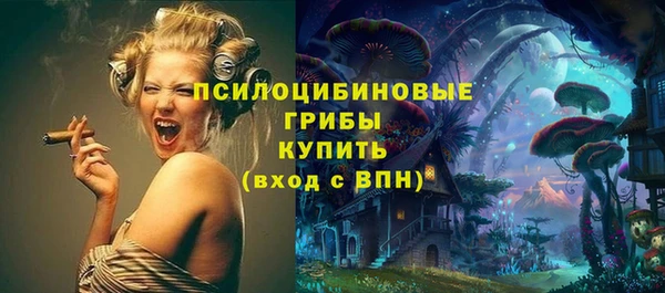 амф Беломорск