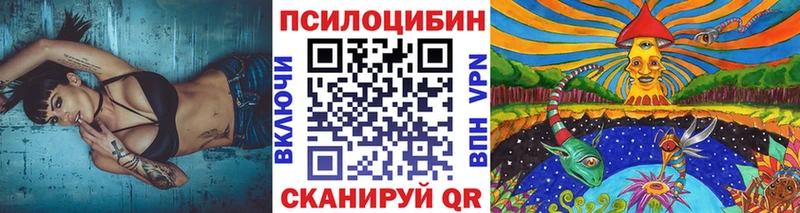 Псилоцибиновые грибы Psilocybine cubensis  Ельня 